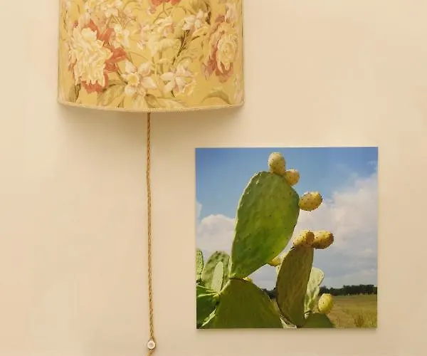 La Volta * מנדוריה